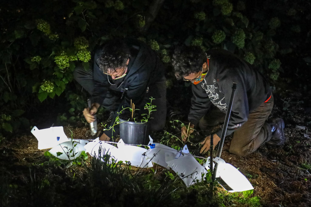 two males planting seeds in the dark 