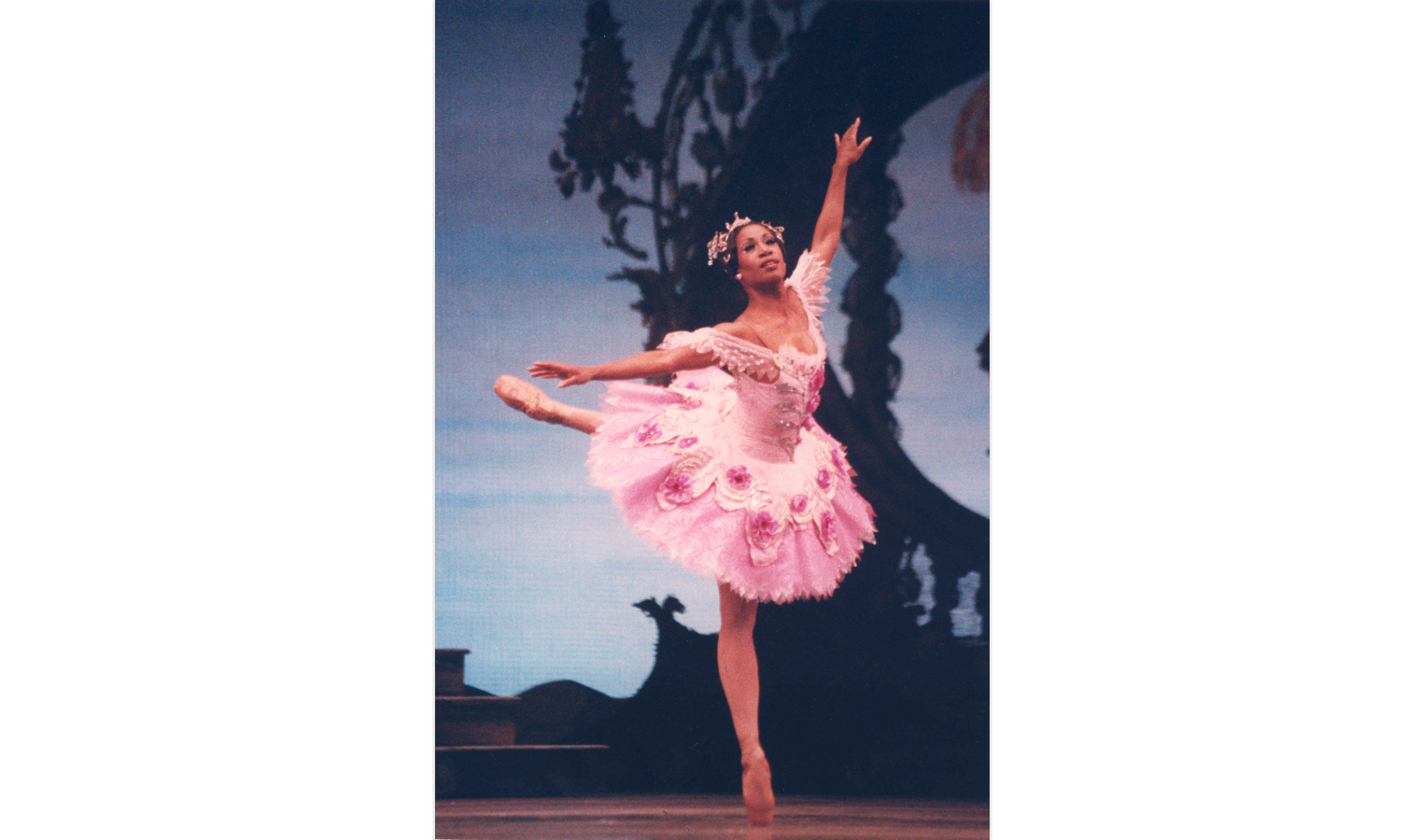 A vintage performance photo of Lauren Anderson as the Sugarplum Fairy. She is wearing a pink tutu and pointe shoes and balancing in attitude.