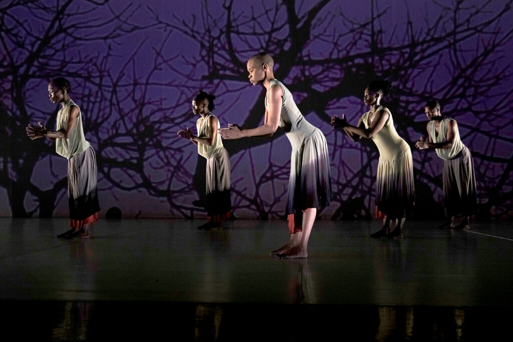 Five dancers face stage right, knees bent slightly and hands raised so their forearms are parallel to the ground. The backdrop is a deep purple, with silhouettes of a branching, leafless tree.