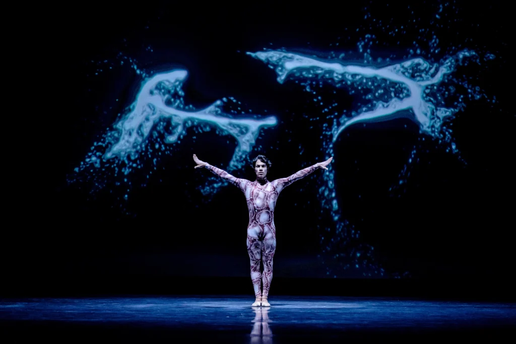 A male dancer stands at center stage with his feet together, arms outflung to either side. Luminescent images that evoke water splattering seem to react to him on the scrim. He wears a deep burgundy unitard splotched with grey-white splotches and outlines.