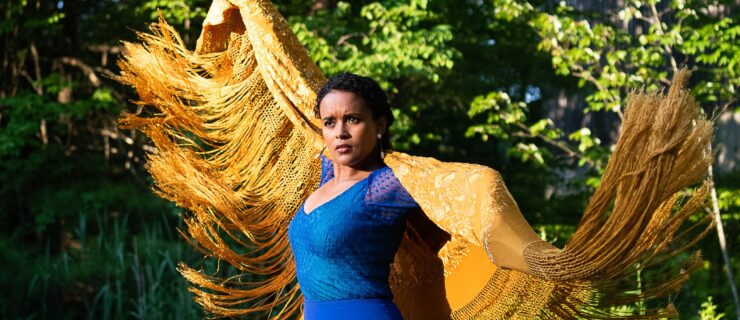 a woman wearing a long blue dress holding out a gold colored shawl